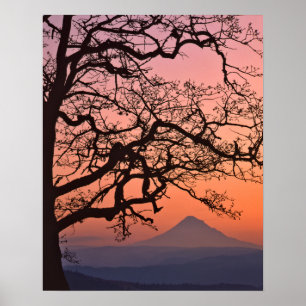 USA, Oregon, Columbia River Gorge National 2 Poster