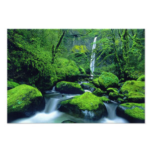 USA, Oregon, Columbia River Gorge National 3 Fotodruck