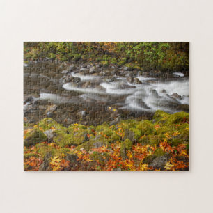 USA, Oregon, Columbia River Gorge, Tanner Creek 2
