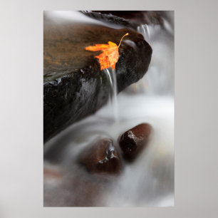 USA, Oregon, Columbia River Gorge, Tanner Creek 3 Poster