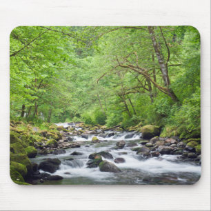 USA, Oregon, Columbia River Gorge, Tanner Creek 4 Mousepad
