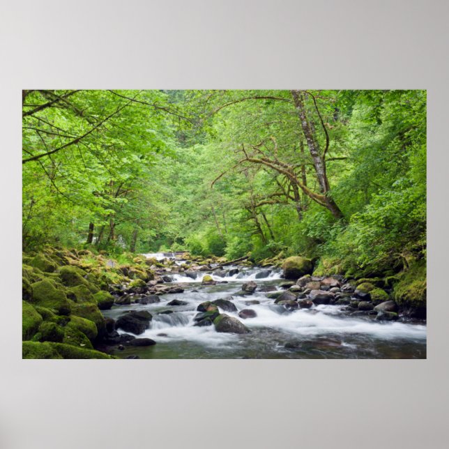 USA, Oregon, Columbia River Gorge, Tanner Creek 4 Poster (Vorne)