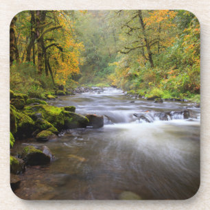 USA, Oregon, Columbia River Gorge, Tanner Creek Getränkeuntersetzer