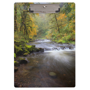 USA, Oregon, Columbia River Gorge, Tanner Creek Klemmbrett