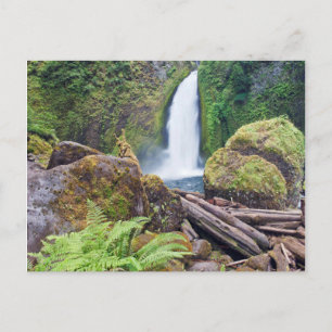 USA, Oregon, Columbia River Gorge, Wahclella Postkarte