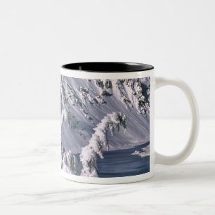 USA, Oregon, Crater Lake NP. Baumbogen unter der Zweifarbige Tasse