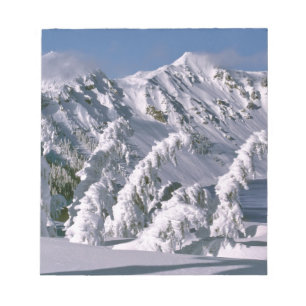 USA, Oregon, Crater Lake NP. Bäume beugen sich unt Notizblock