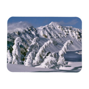 USA, Oregon, Crater Lake NP. Bäume biegen sich unt Magnet