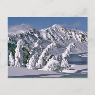 USA, Oregon, Crater-Lake-NP. Bäume biegen sich unt Postkarte
