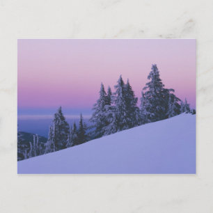 USA, Oregon, Deschutes National Forest, Dämmerung Postkarte