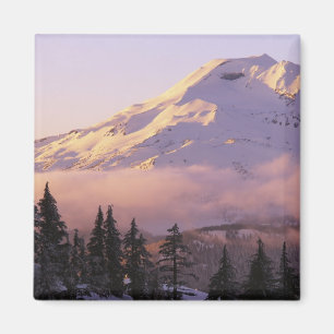USA, Oregon, Deschutes National Forest, Die Magnet