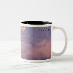 USA, Oregon, Deschutes National Forest, Die Zweifarbige Tasse