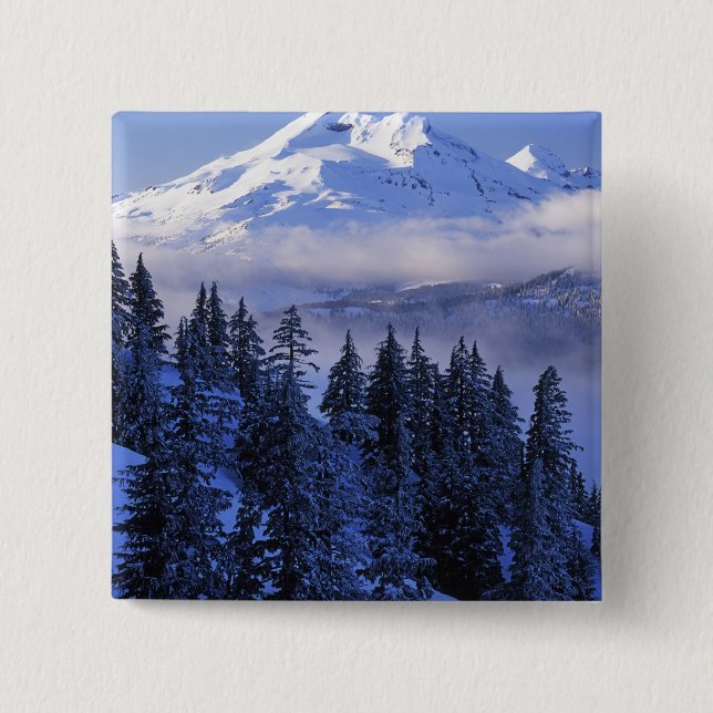 USA, Oregon, Deschutes National Forest, Süd Button (Vorderseite)