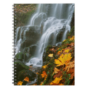 USA, Oregon, Fairy Falls, Columbia River Gorge Notizblock