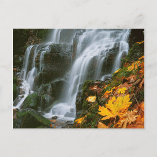 USA, Oregon, Fairy Falls, Columbia River Gorge Postkarte