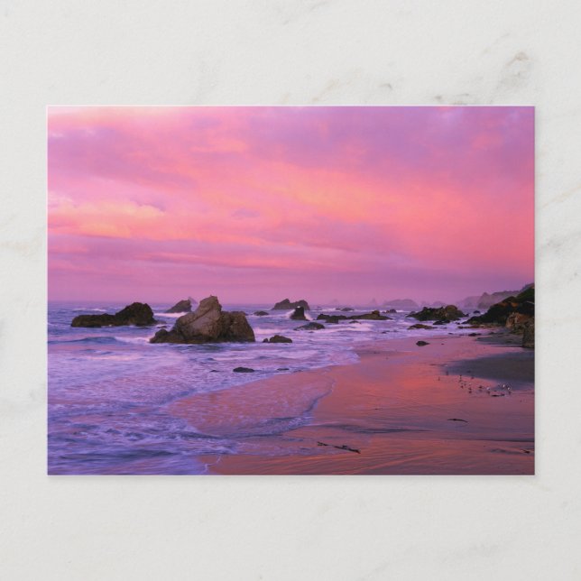USA, Oregon, Harris Staat Beach, Brookings. Postkarte (Vorderseite)