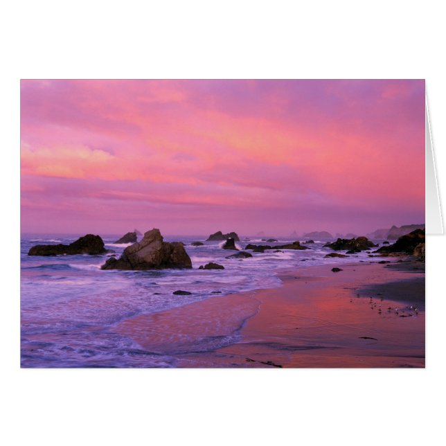 USA, Oregon, Harris State Beach, Brookings. (Devant horizontal)