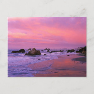 USA, Oregon, Harris State Beach, Brookings. Postkarte