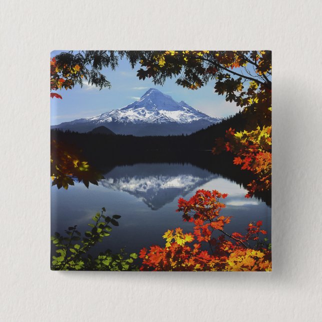 USA, Oregon, Hood National Forest. Button (Vorderseite)