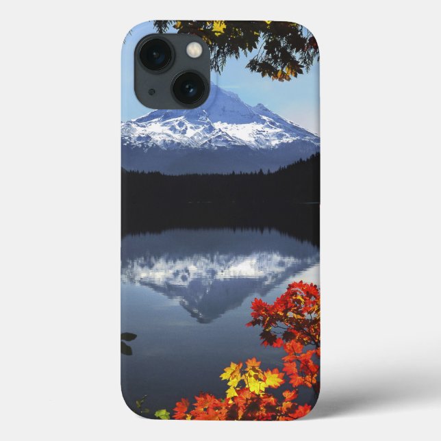 USA, Oregon, Hood National Forest. Case-Mate iPhone Hülle (Rückseite)