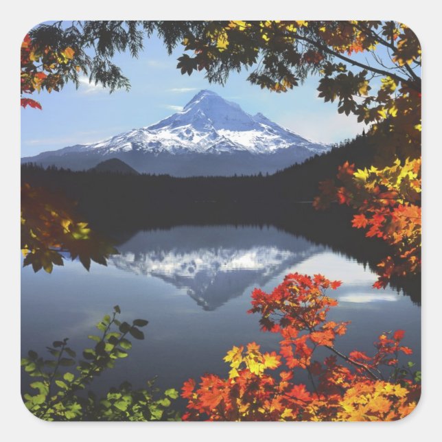 USA, Oregon, Hood National Forest. Quadratischer Aufkleber (Vorderseite)