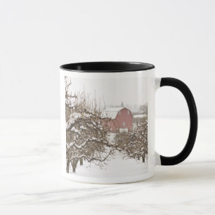 USA, Oregon, Hood River. Schnee bedeckter Apfel Tasse
