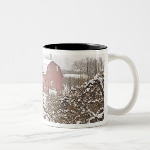 USA, Oregon, Hood River. Schnee bedeckter Apfel Zweifarbige Tasse