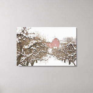 USA, Oregon, Hood River. Schneebedeckter Apple Leinwanddruck