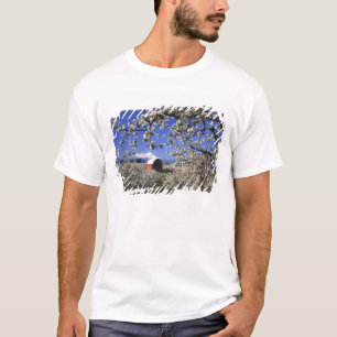 USA, Oregon, Hood River Valley, Pear orchard T-Shirt
