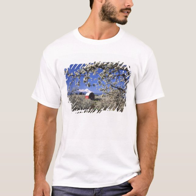 USA, Oregon, Hood River Valley, Pear orchard T-Shirt (Vorderseite)