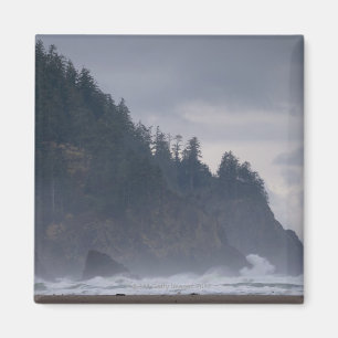 USA, Oregon, Landkreis Tillamook, Wald an der Küst Magnet