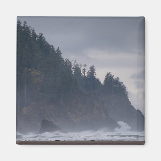 USA, Oregon, Landkreis Tillamook, Wald an der Küst Magnet (Vorne)