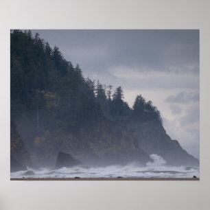 USA, Oregon, Landkreis Tillamook, Wald an der Küst Poster
