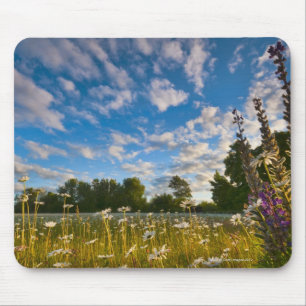 USA, Oregon, Marion County, Wiese mit Mousepad