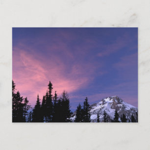 USA, Oregon, Mount Hood von Timberline Postkarte