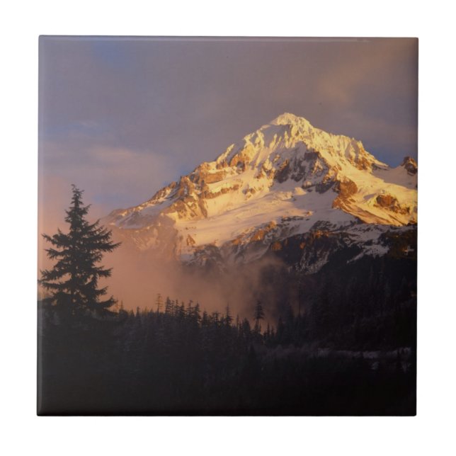 USA, Oregon, Mt. Hood National Forest Fliese (Vorderseite)