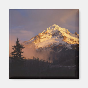 USA, Oregon, Mt. Hood National Forest. Rollend Magnet