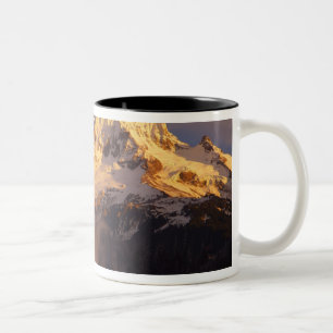 USA, Oregon, Mt. Hood National Forest. Rollend Zweifarbige Tasse