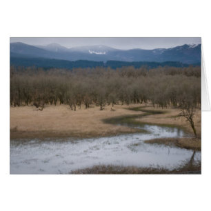 USA, Oregon, Multnomah Landkreis, Marsh land