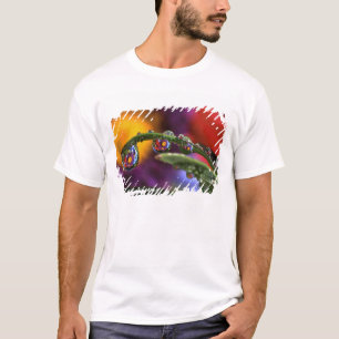 USA, Oregon, Nahaufnahme-Abstraktion von Lila T-Shirt