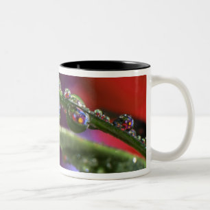 USA, Oregon, Nahaufnahme-Abstraktion von Lila Zweifarbige Tasse