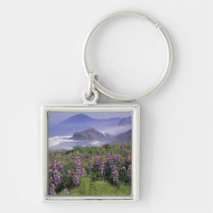 USA, Oregon, Nesika Beach. Lupine und Oregon Schlüsselanhänger