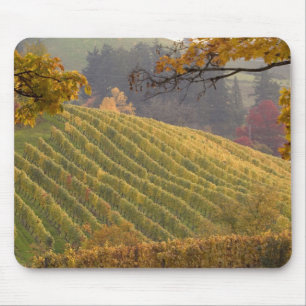 USA, Oregon, Newberg. Weinberg im Herbst. Mousepad