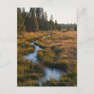 USA, Oregon, Paulina-Nebenfluss Postkarte