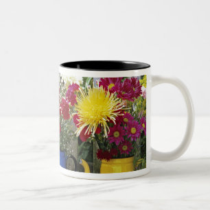 USA, Oregon, Portland. Antiquitätenware Zweifarbige Tasse