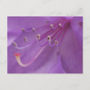 USA, Oregon, Portland. Close-up of a Postkarte