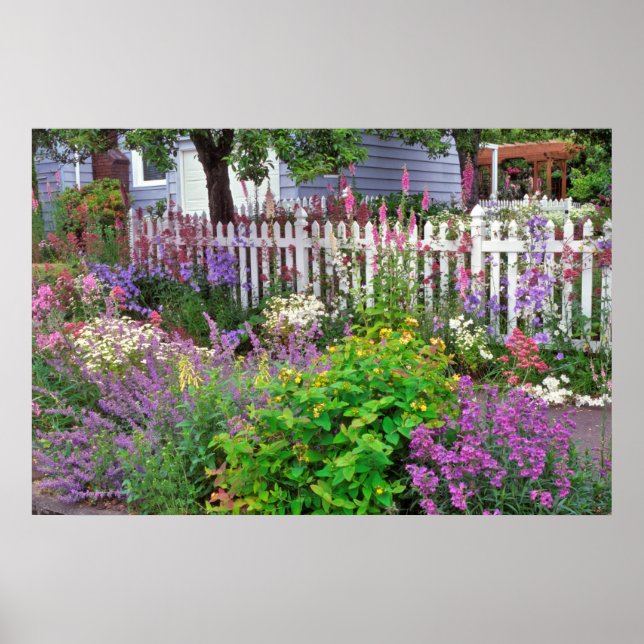 USA, Oregon, Portland. Explosion der Springzeit Poster (Vorne)