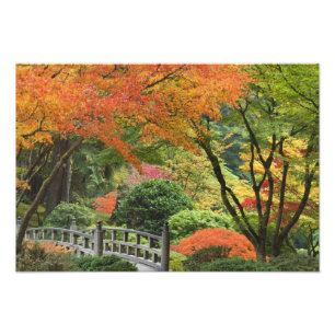 USA, Oregon, Portland. Holzbrücke und Ahorn Fotodruck