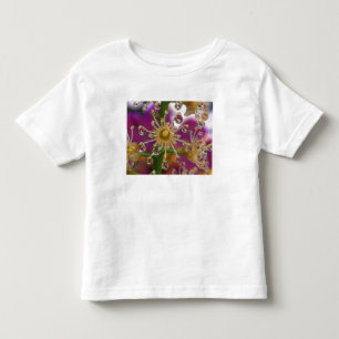 USA, Oregon, Portland. Kosmos-Blume spiegeln sich Kleinkind T-shirt