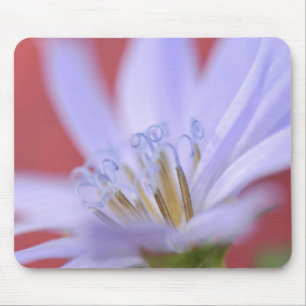 USA, Oregon, Portland. Nahaufnahme von wilder Chic Mousepad